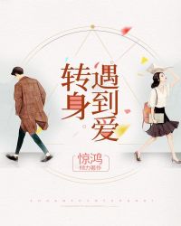 转身遇到爱封面