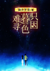 只因暮色难寻封面