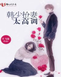 韩少抢妻太高调封面
