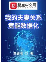 我的夫妻关系竟能数据化封面