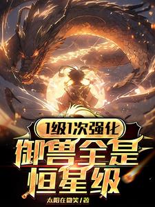 1级1次强化，御兽全是恒星级封面