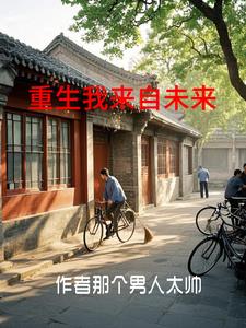 四合院我女人有点多封面