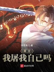 屠龙?我屠我自己吗?封面