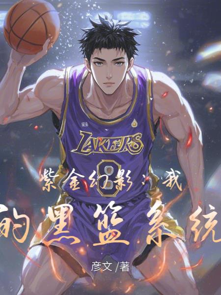 紫金幻影：我的黑篮系统封面