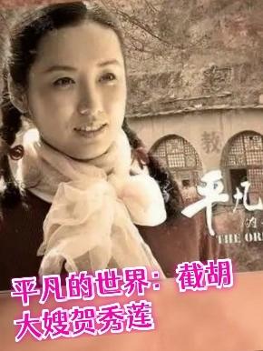 平凡的世界：截胡大嫂贺秀莲封面