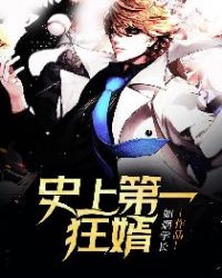 史上第一狂婿封面