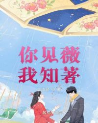 你见薇我知著封面
