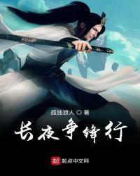 长夜争锋行封面