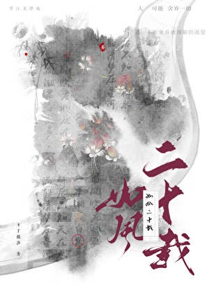 如风二十载封面