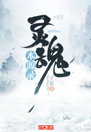 灵魂本源录封面