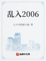 乱入2006封面