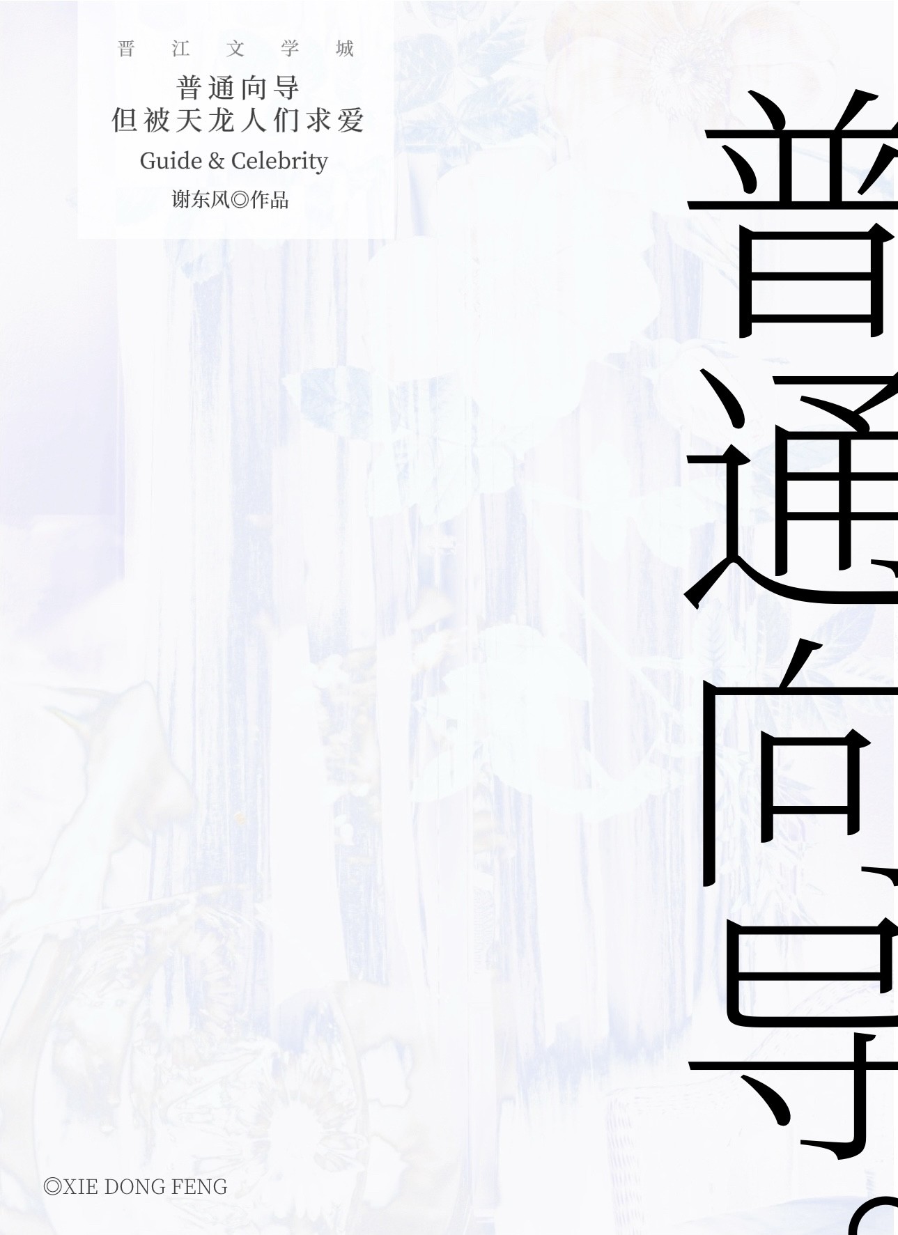 普通向导,但被天龙人们求爱封面