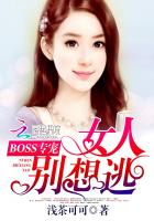 BOSS专宠：女人别想逃封面