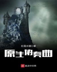 原生协奏曲封面