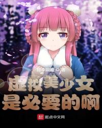 虚拟美少女是必要的啊封面