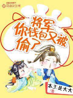 将军,你钱包又被偷了封面