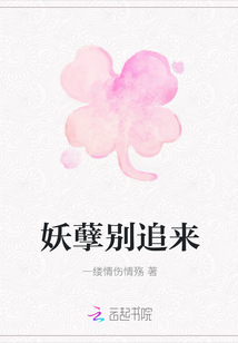 妖孽别追来封面