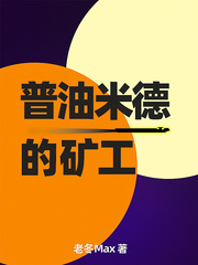 普油米德的矿工封面