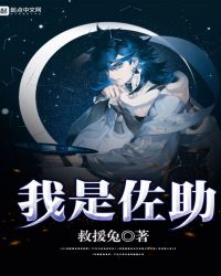 我是佐助封面