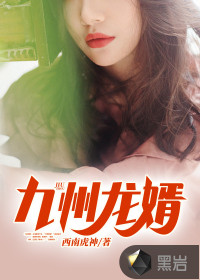 九州龙婿封面
