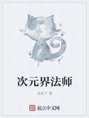 次元界法师封面