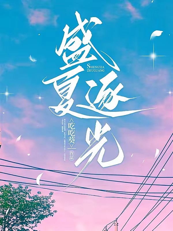 盛夏逐光封面