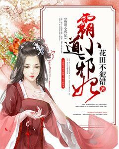 霸道小邪妃封面