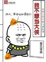 我不想当大侠封面