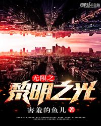 无限之黎明之光封面