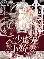 云少蜜宠小娇妻封面