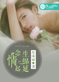 一念情起，一生绵延封面