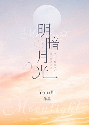 明暗月光封面