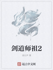 剑道师祖2封面