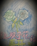 让双子花再开封面