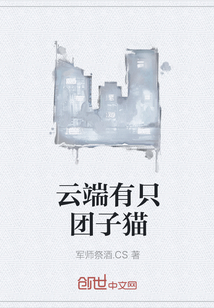 云端有只团子猫封面