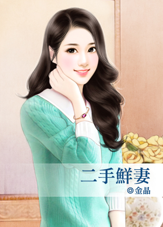二手鲜妻封面