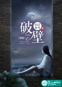 破壁封面