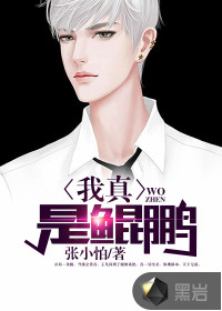 我真是鲲鹏封面