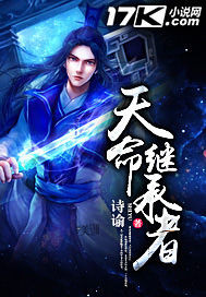 天命继承者封面