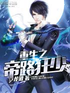 重生之帝路狂少封面