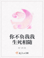 你不负我我生死相随封面