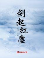剑起红尘封面
