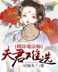 糊涂魔法师：夫君难选封面