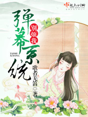 弹幕系统别烦我封面