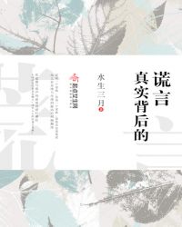 真实背后的谎言封面