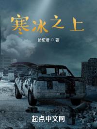 寒冰之上封面