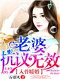 入骨暖婚，老婆抗议无效！封面