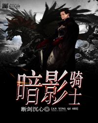 暗影骑士封面