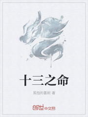 十三之命封面