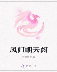 凤归朝天阙封面